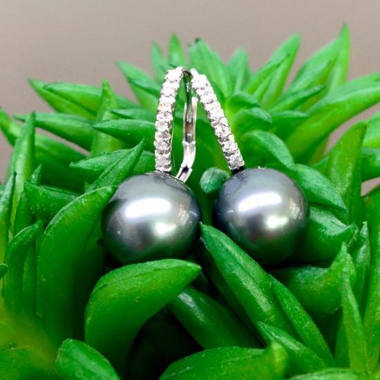 a fish hook earrings with gray pearls